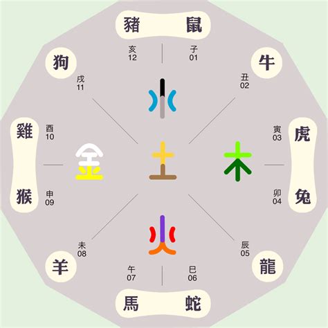 珝五行|妡字的五行是什么,妡的五行属性及吉利寓意